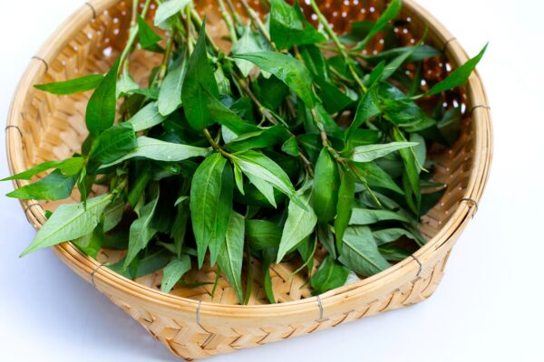 Rau răm - Cung cấp thực phẩm tươi, sạch giá bán lẻ như bán sỉ